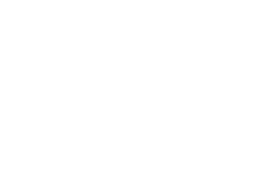 Les Mousquetaires